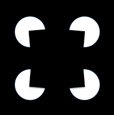 Perceptual Processing & Computational Lab